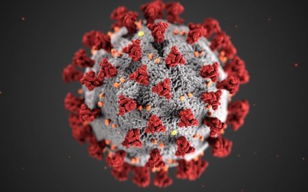 New pandemic in 2026?