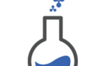Ripple Labs