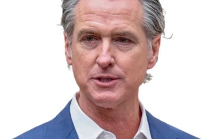 Gavin Newsom