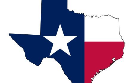 Texas Senate Election Winner