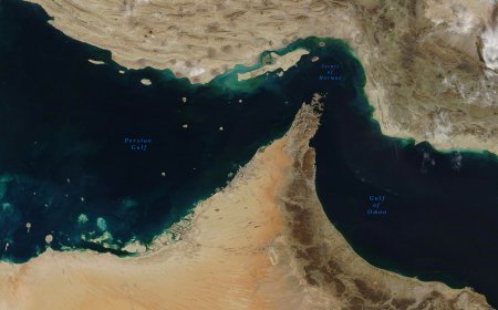 Strait of Hormuz traffic returns to normal by December 31?