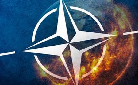 Will any country leave NATO by...?
