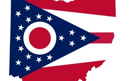 Ohio Senate Election Winner