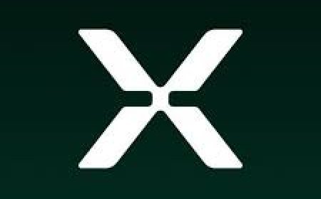 Will Exponent launch a token by ___?