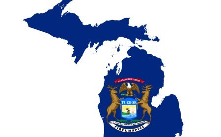 Michigan Senate Election Winner