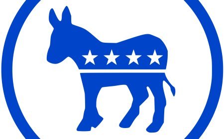 Democratic Presidential Nominee 2028
