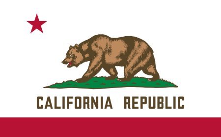 California Governor Election Winner