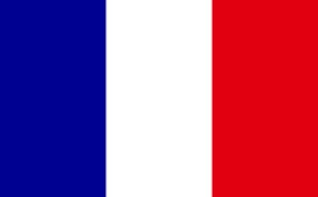 Next French Presidential Election