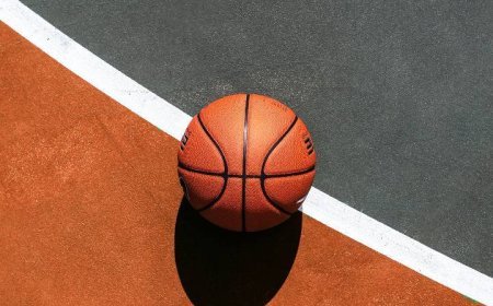 WNBA: Assists Per Game Leader