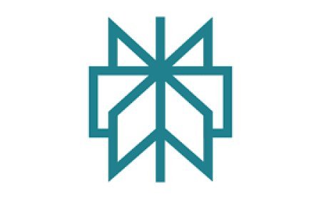 Perplexity AI